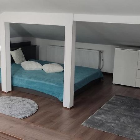 Мансардна Никол Apartment Vidin Bagian luar foto