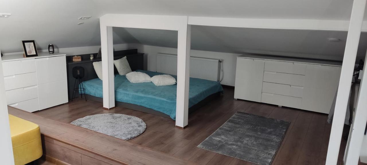 Мансардна Никол Apartment Vidin Bagian luar foto