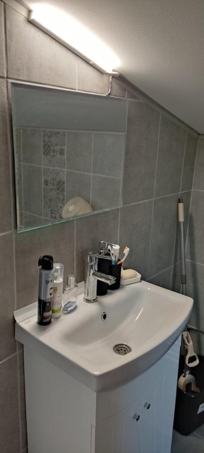Мансардна Никол Apartment Vidin Bagian luar foto