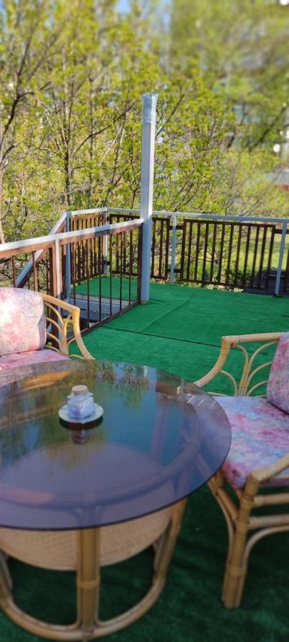 Мансардна Никол Apartment Vidin Bagian luar foto